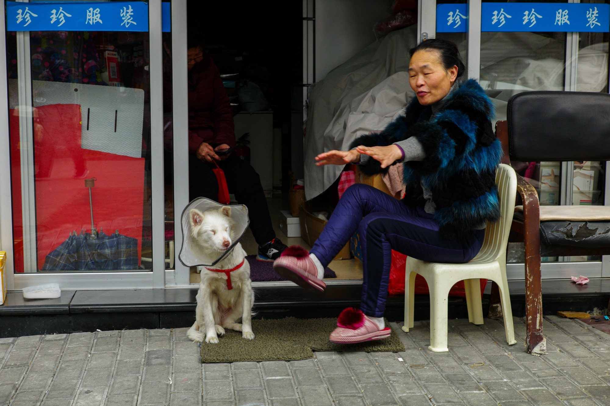 A woman gesturing from a plastic chair beside a dog wearing a cone outside a clothes shop